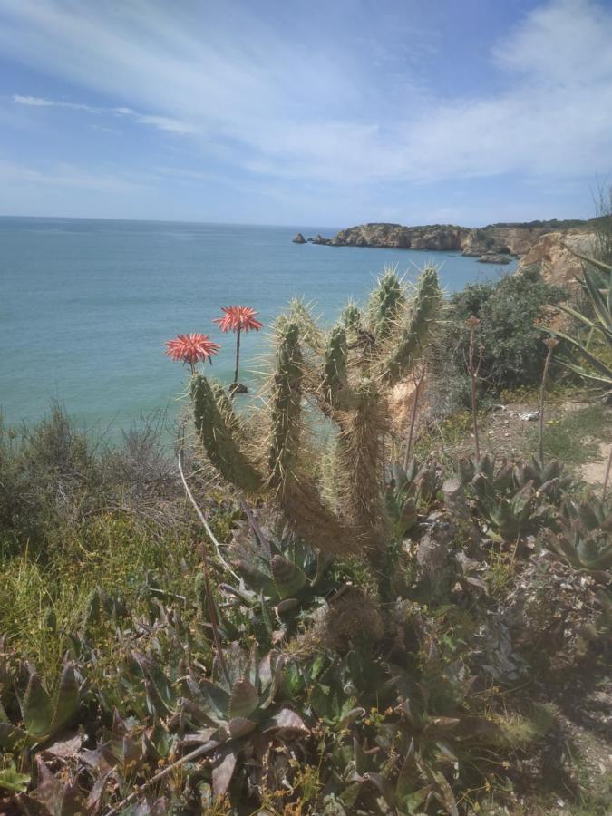 Cool Residence Portimao Bagian luar foto